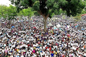 bieu_tinh_giao_phan_vinh-2016