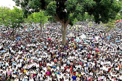 bieu_tinh_giao_phan_vinh-2016