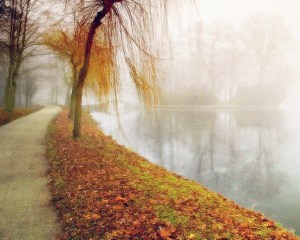 foggy_landscape
