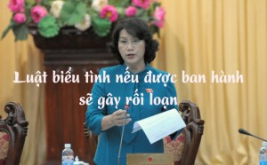 nguyen_thi_kim_ngan-luat_bieu_tinh