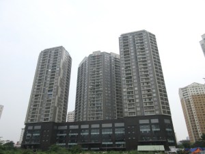 chung_cu-hoang_dao_thuy