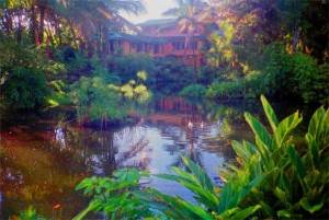house_in_hilo-hawaii