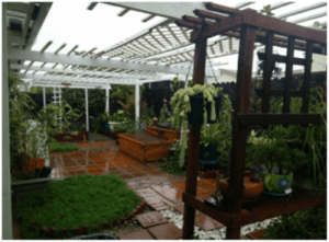 hien_trang_tran_huy_sao