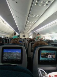airline_cabin_1