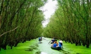 cheo_xuong_rung_tram